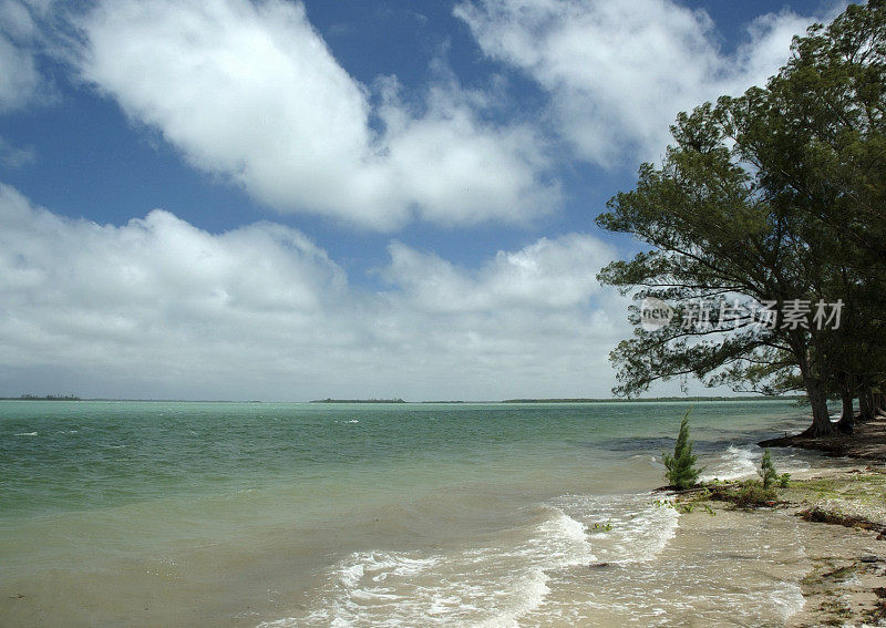 来自Sanibel Causeway的松树岛声音